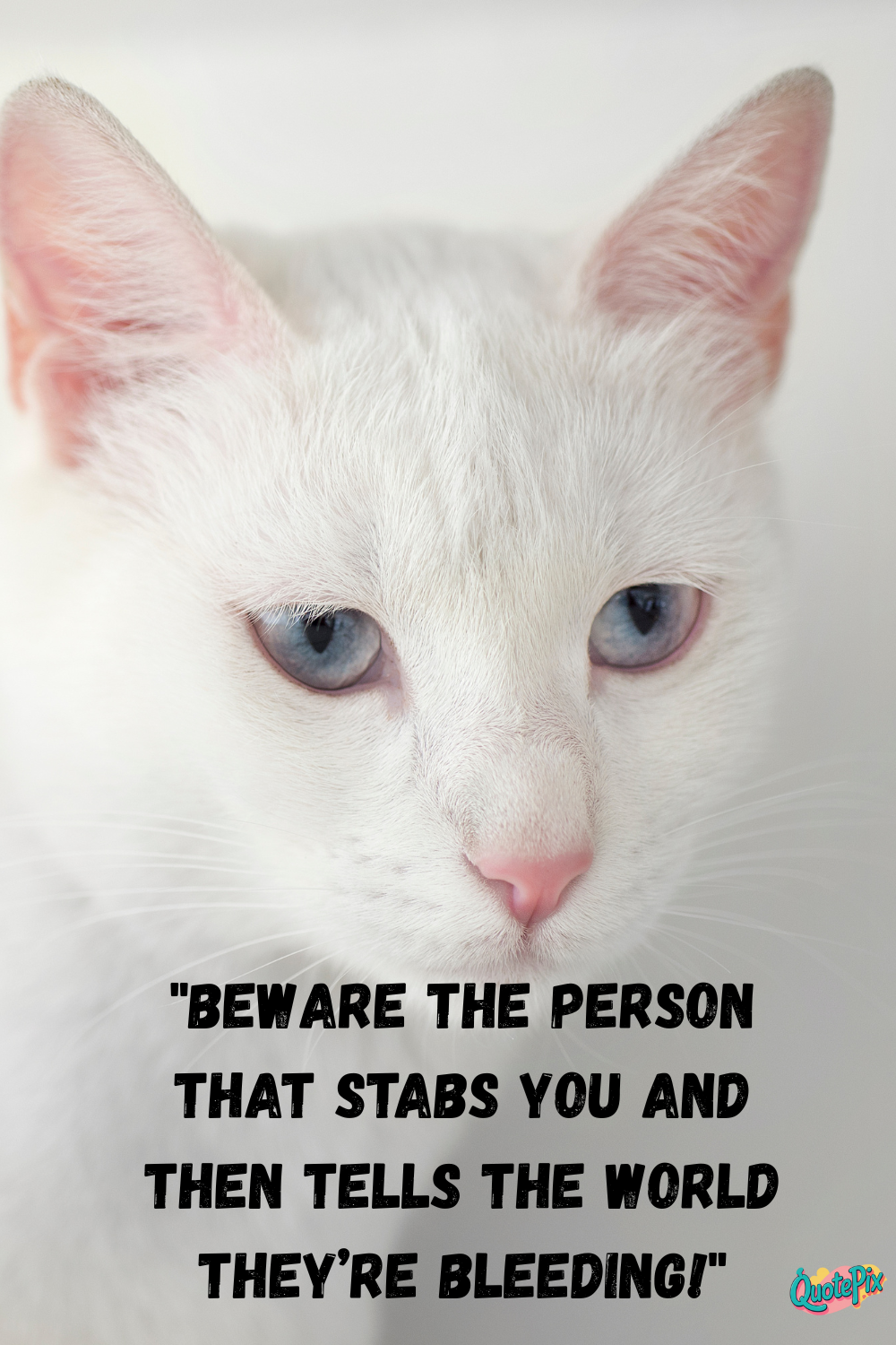 Beware the person that stabs you and then&hellip;