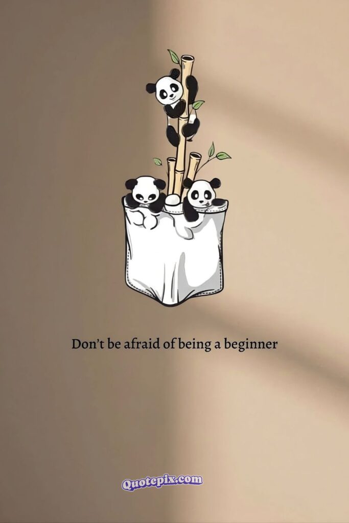 Don't be afraid a of being a beginner.