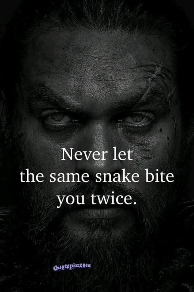 Never let the same snake bite you twice.