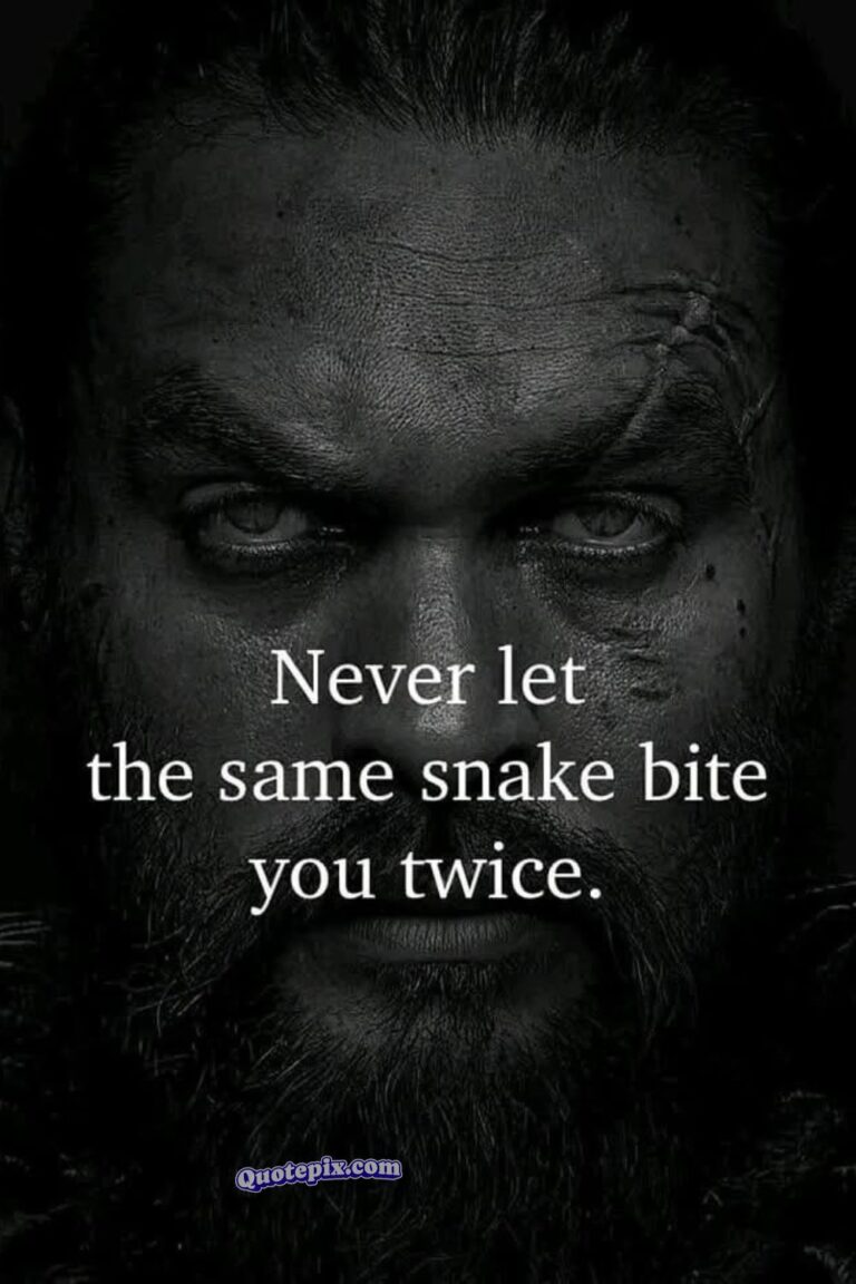 Never let the same snake bite you twice.