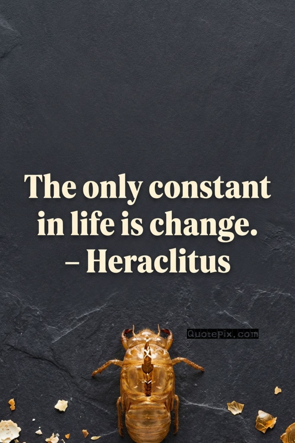 The only constant in life is change. –&hellip;