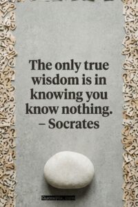 The only true wisdom is in knowing you know nothing. – Socrates