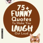75 Funny Quotes to Make You Laugh Out Loud