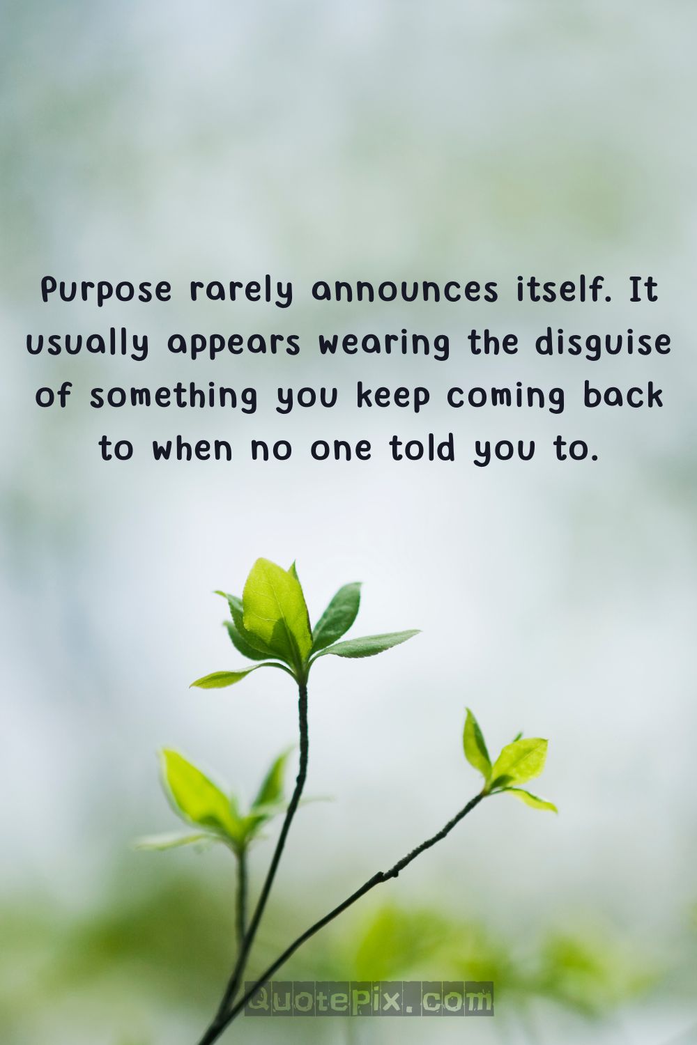 Purpose rarely announces itself. It usually appears wearing&hellip;
