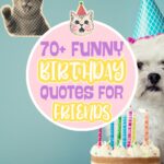 70+ Funny Birthday Quotes for Friends 70 Funny Birthday Quotes for Friends 2