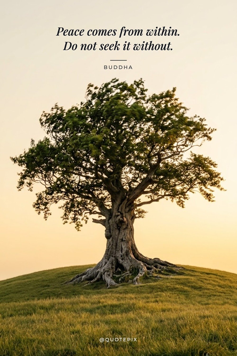 Peace comes from within. Do not seek it without. —…